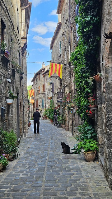 Free Cat Alley photo and picture