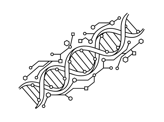 Free dna helix structure genetics vector