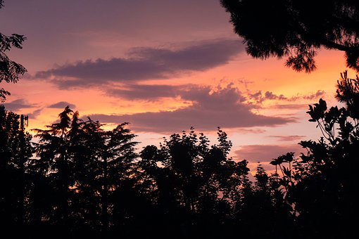 Free Sunset Nature photo and picture