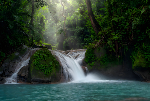 Tropisk Skov, Vandfald, Indonesien