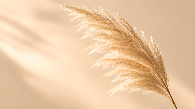 Free feather pampas grass nature illustration