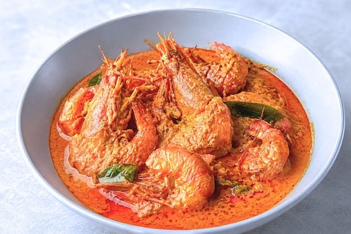 Free Gulai Belacan Indonesian Dish illustration and picture
