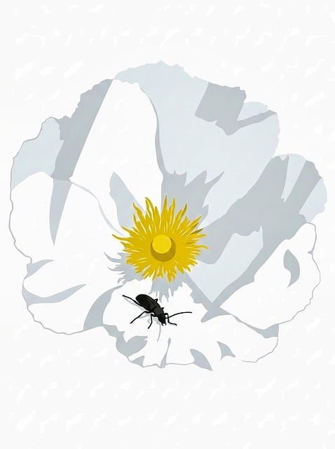 Free Flower Beetle illustration and picture