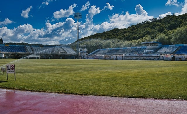 Free Stadium Football photo and picture