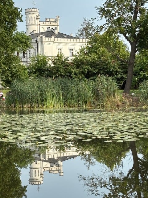 Free Castle Water photo and picture