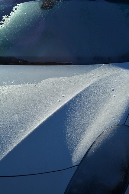 Free Car Bonnet photo and picture