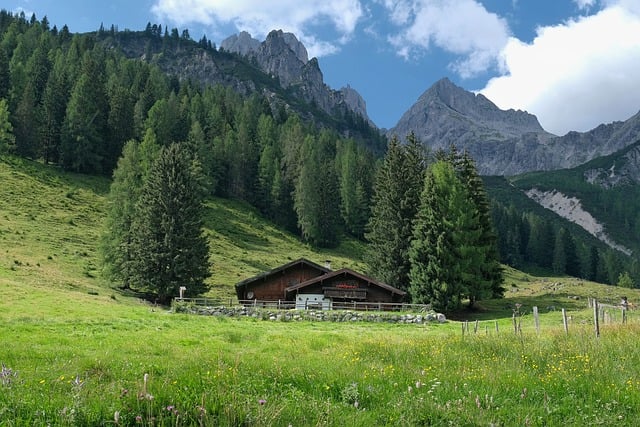 Montanhas, Cabana, Árvores, Prado