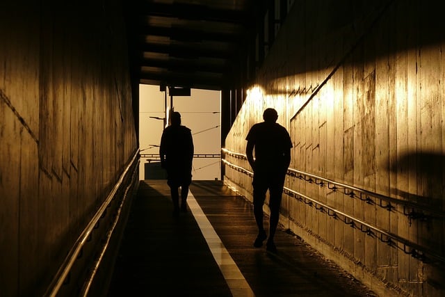 Free Sun Shadow photo and picture