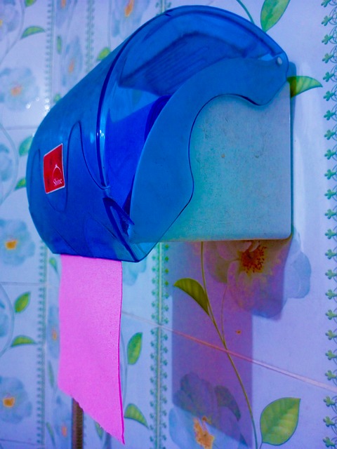 Papel Higiénico