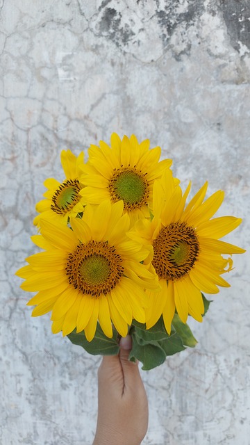 Free Sunflower Bouquet photo and picture