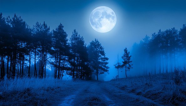 Nebliger Wald, Mond, Nachthimmel