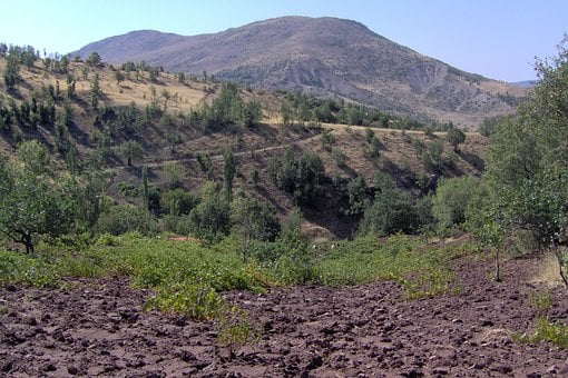 Naturaleza, Paisaje, Montañas, Árboles