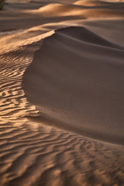 Free Desert Sand Dunes photo and picture