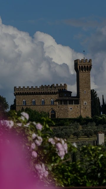 Schloss, Turm, Architektur, Landschaft