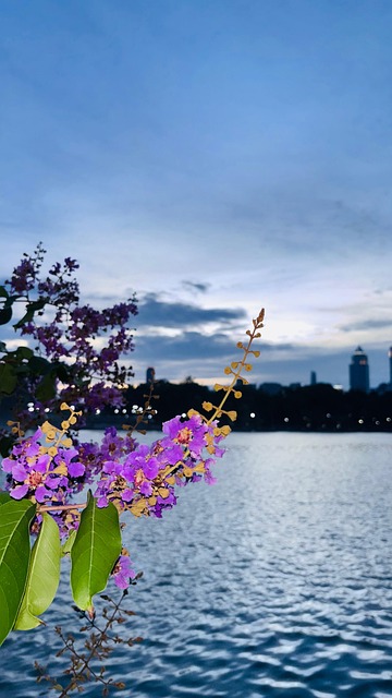 Free Nature Evening photo and picture