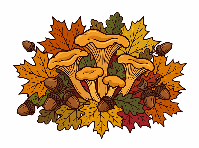 Free autumn mushrooms chanterelle vector