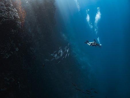 Free Sea Diving photo and picture