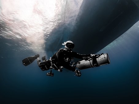 Free Diving Diver photo and picture