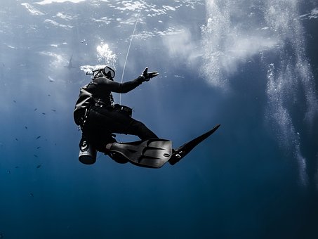 Free Diving Underwater Photography photo and picture
