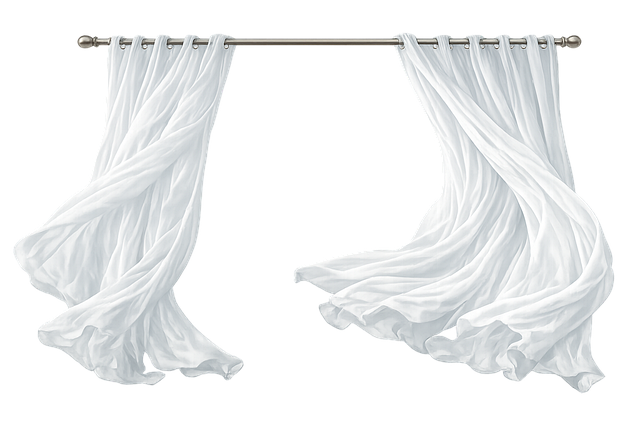 Free curtains bedroom window illustration
