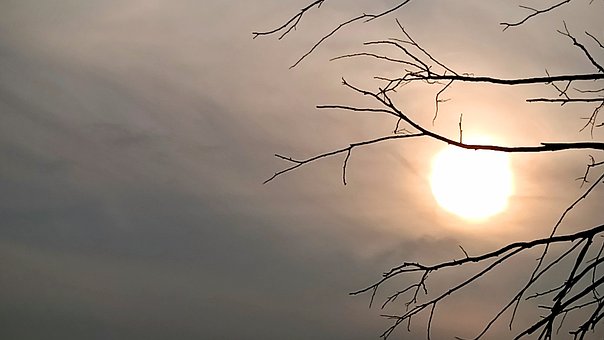 Sonne, Zweige, Baum, Himmel