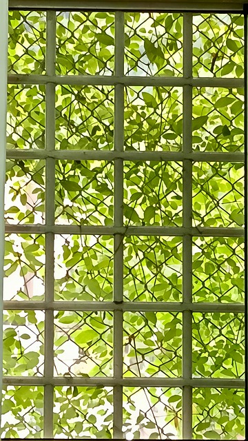 Grün, Blätter, Fenster, Gitter