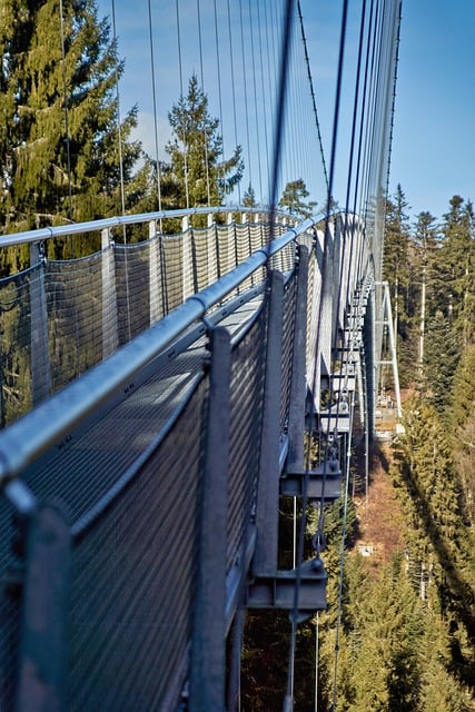 Free Suspension Bridge Architecture photo and picture