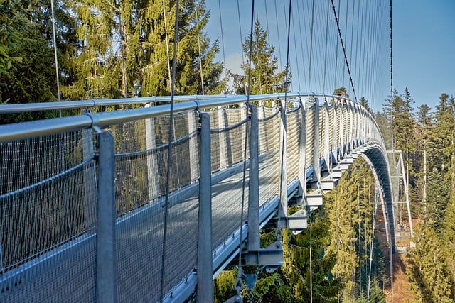 Free Bridge Architecture photo and picture
