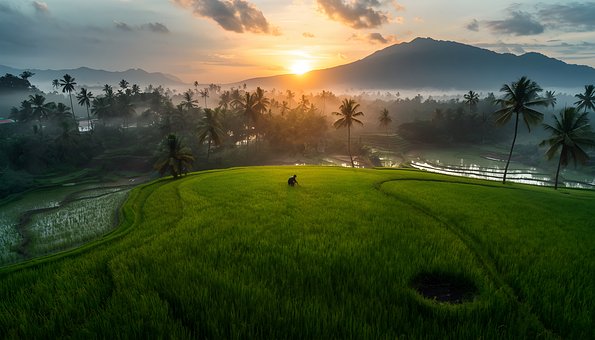 Free Indonesia Bali illustration and picture