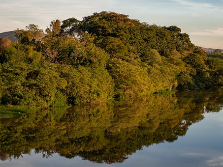 Free Nature Reflection photo and picture