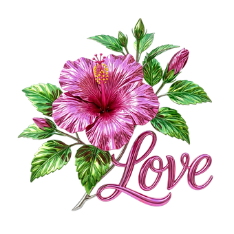 Flor, Hibisco, Rosa, Amor, Verde, Folha