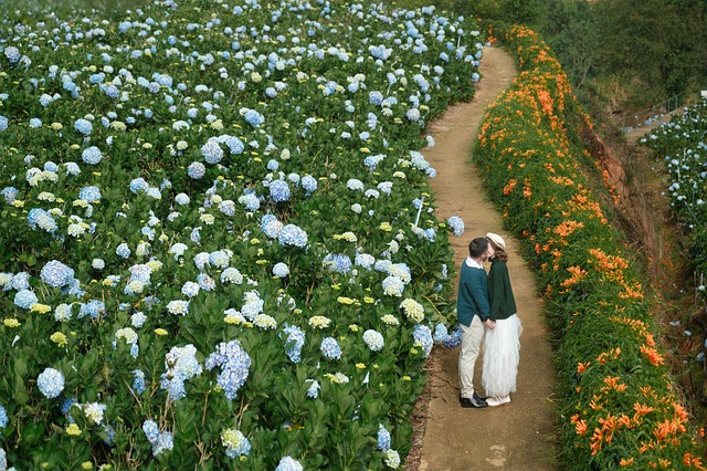 Stel, Vietnam, Liefde, Reizen, Hortensia