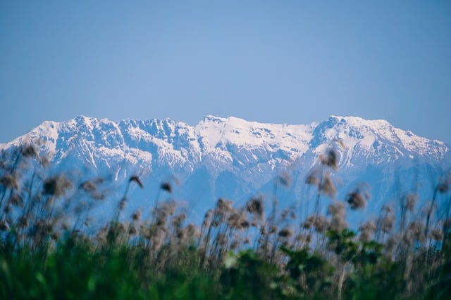 Caramulo ist eine unbestreitbare Marke und der Ankerpunkt des Tourismus in der Gemeinde