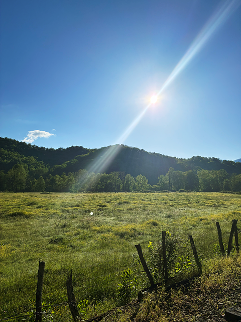 Free Field Sun photo and picture