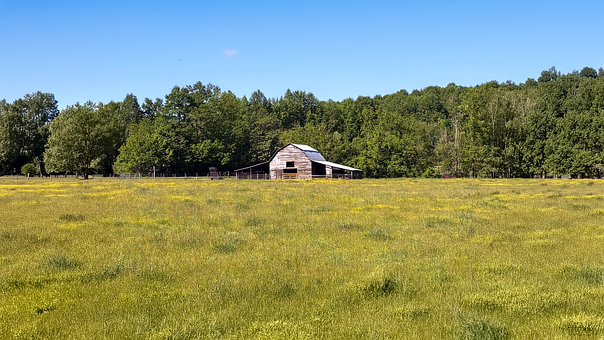 Free Barn Field photo and picture
