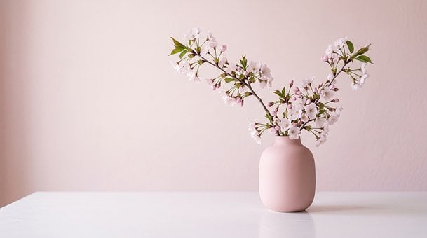 Free Minimalist Cherry Blossom illustration and picture