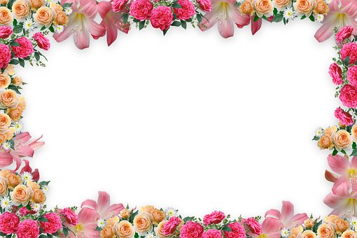 Free Flower Frame Rose illustration and picture