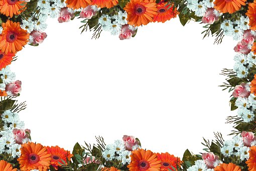 Free Floral Border Gerbera photo and picture