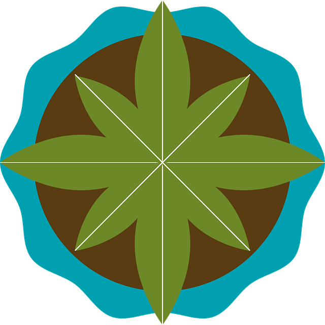 Free list tasks icon vector