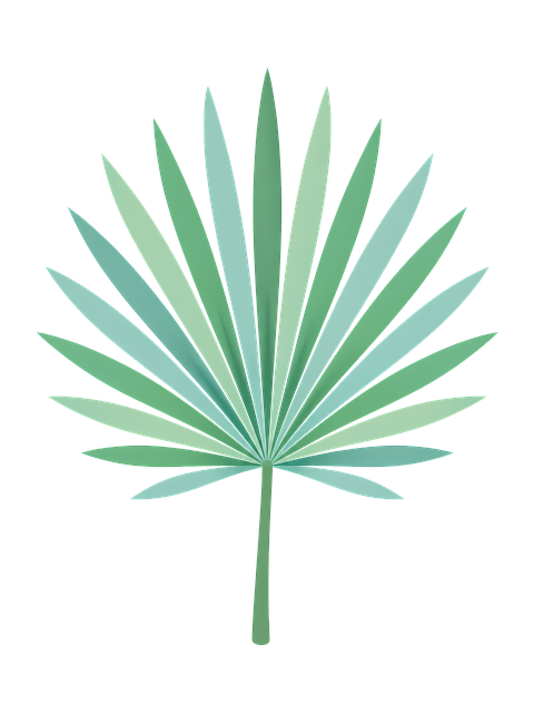 Free fan palm tropical leaf botanical clipart illustration