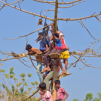 Free Tree Child photo and picture