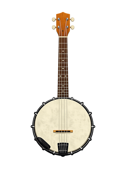 Free banjo musical instrument string instrument vector