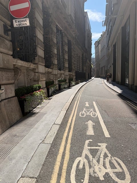 Free Street Bicycle Lane photo and picture