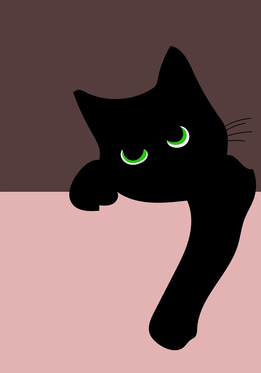 Download free HD stock image of Cat Minimalism Free Cat Minimalism photo and picture