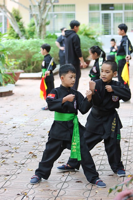 Kampfsport, Kinder, Training, Natur