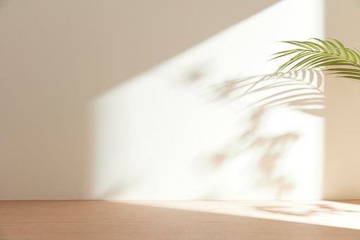 Free Minimal Shadow photo and picture