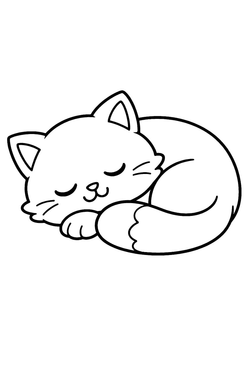 Download free HD stock image of Cat Sleeping Free cat sleeping cat drawing illustration