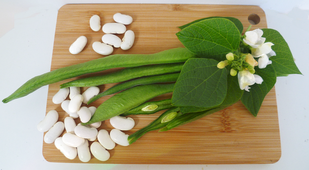 Free Bean Cutting Board photo and picture
