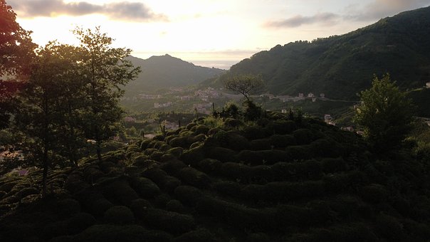 Free Nature Landscape photo and picture