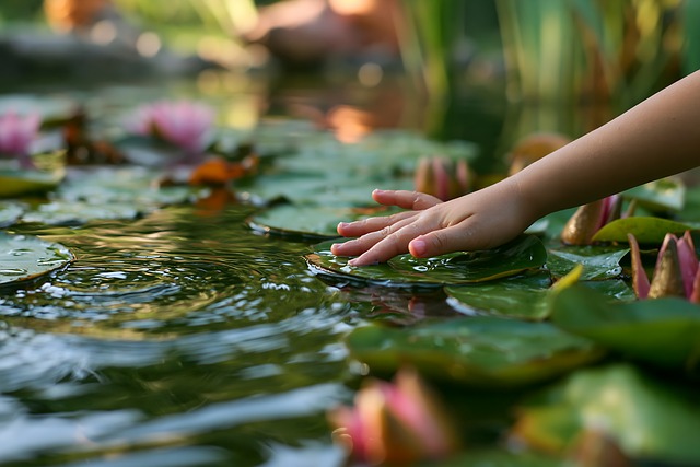 Free Water Lilies Lily Pads photo and picture